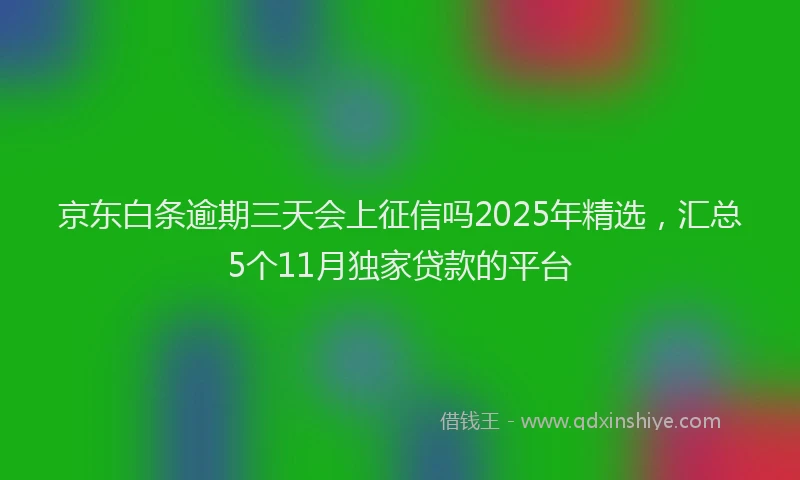 京东白条逾期三天会上征信吗2025年精选，汇总5个11月独家贷款的平台