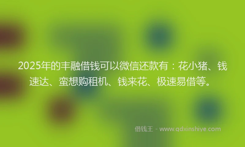2025年的丰融借钱可以微信还款有:花小猪、钱速达、蛮想购租机、钱来花、极速易借等。