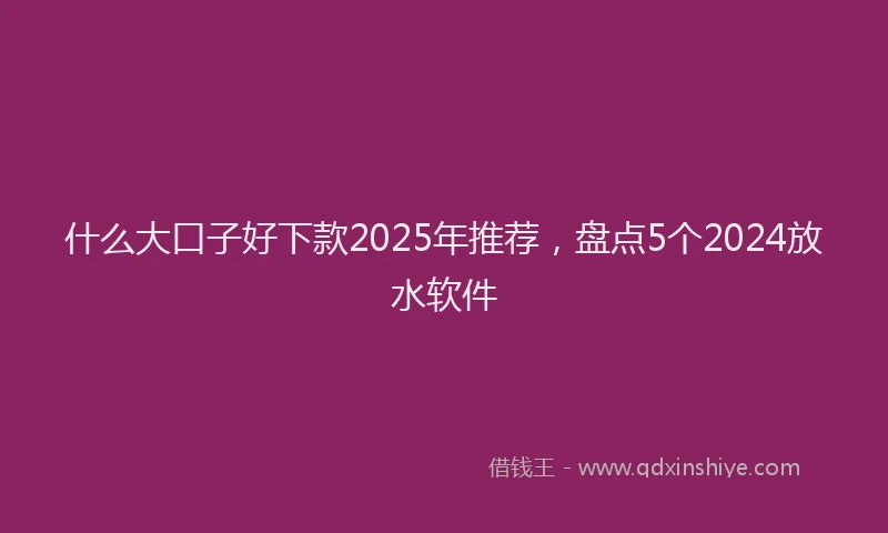 什么大口子好下款2025年推荐，盘点5个2024放水软件
