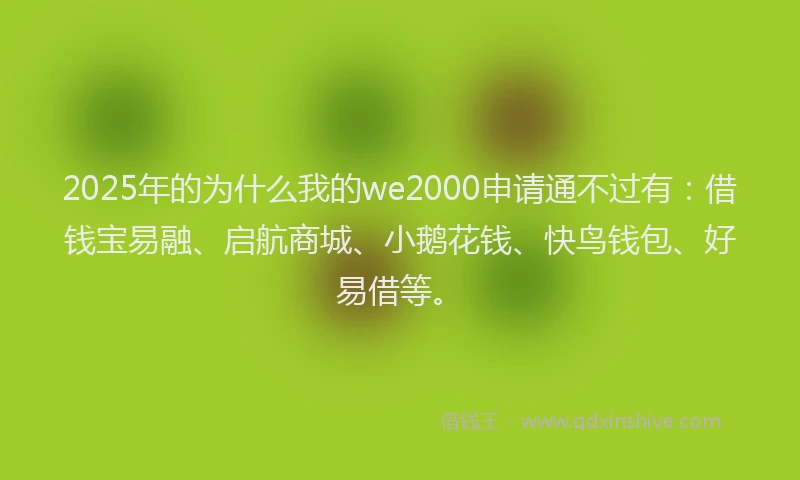 2025年的为什么我的we2000申请通不过有:借钱宝易融、启航商城、小鹅花钱、快鸟钱包、好易借等。