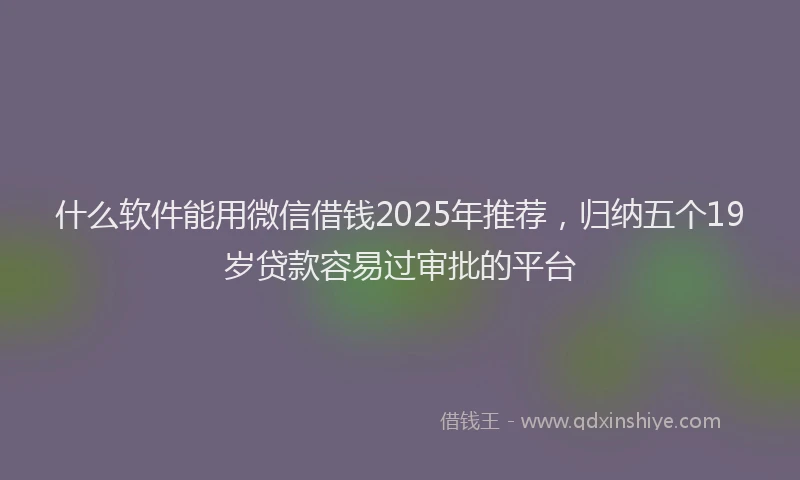 什么软件能用微信借钱2025年推荐，归纳五个19岁贷款容易过审批的平台