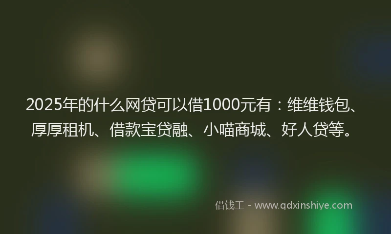 2025年的什么网贷可以借1000元有：维维钱包、厚厚租机、借款宝贷融、小喵商城、好人贷等。