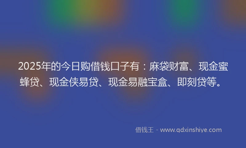 2025年的今日购借钱口子有：麻袋财富、现金蜜蜂贷、现金侠易贷、现金易融宝盒、即刻贷等。
