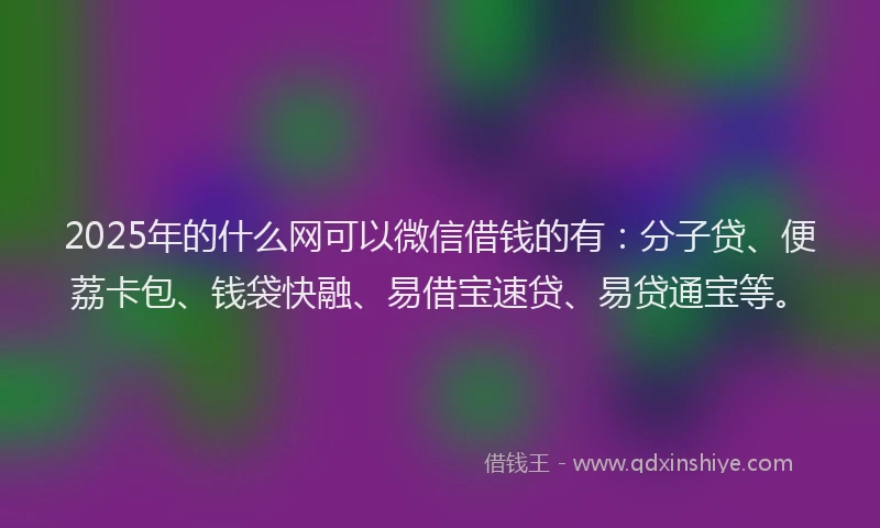 2025年的什么网可以微信借钱的有：分子贷、便荔卡包、钱袋快融、易借宝速贷、易贷通宝等。