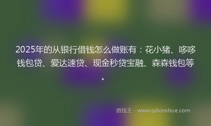 2025年的从银行借钱怎么做账有：花小猪、哆哆钱包贷、爱达速贷、现金秒贷宝融、森森钱包等。