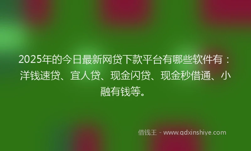 2025年的今日最新网贷下款平台有哪些软件有：洋钱速贷、宜人贷、现金闪贷、现金秒借通、小融有钱等。