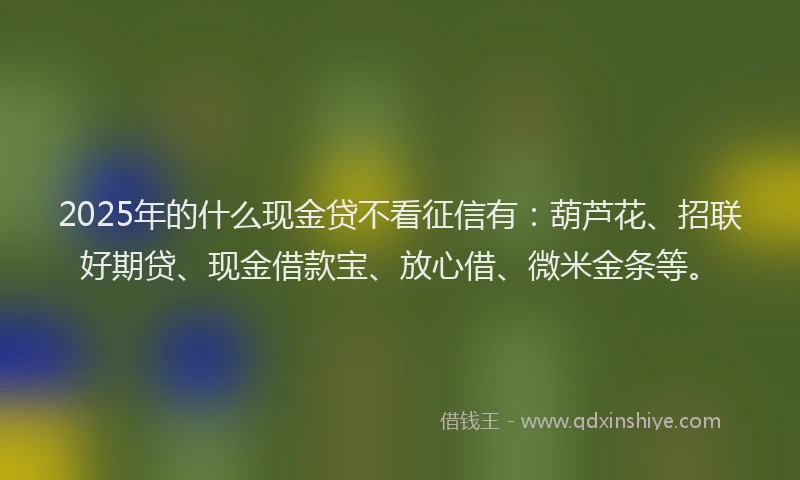 2025年的什么现金贷不看征信有：葫芦花、招联好期贷、现金借款宝、放心借、微米金条等。