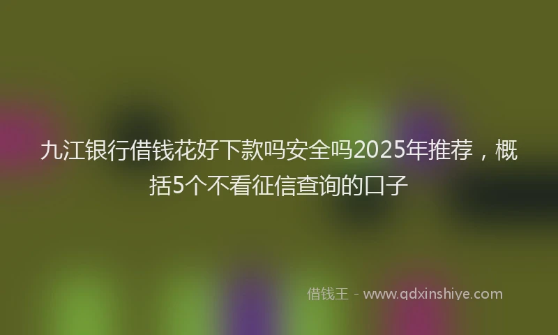 九江银行借钱花好下款吗安全吗2025年推荐，概括5个不看征信查询的口子
