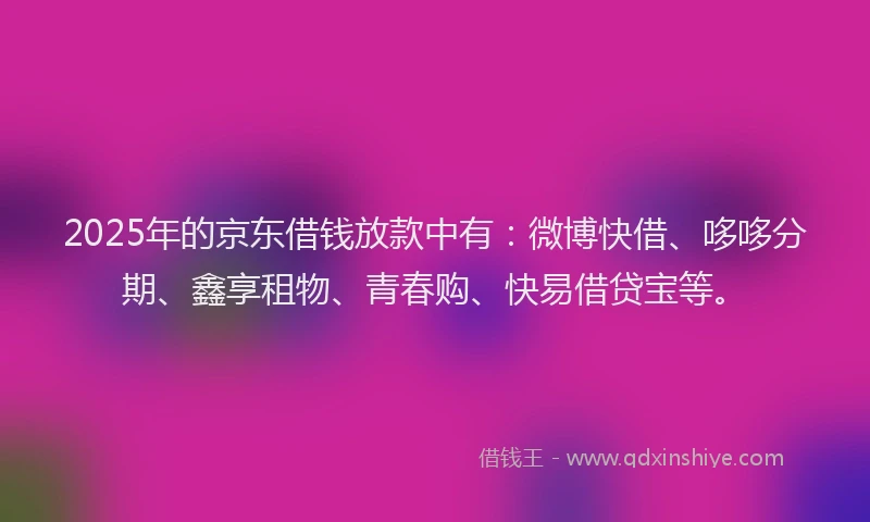 2025年的京东借钱放款中有:微博快借、哆哆分期、鑫享租物、青春购、快易借贷宝等。