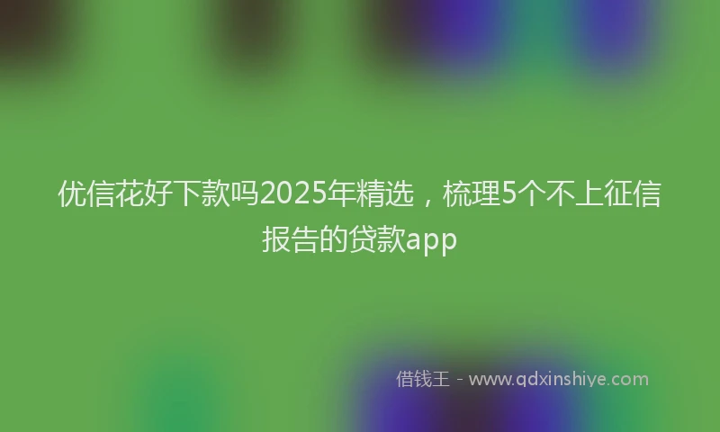 优信花好下款吗2025年精选,梳理5个不上征信报告的贷款app
