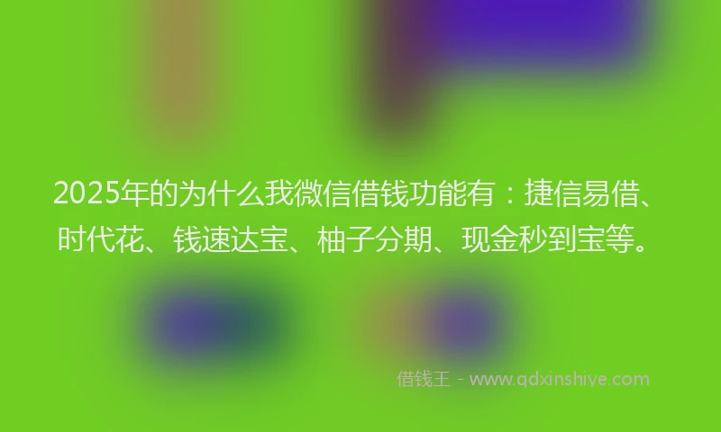 2025年的为什么我微信借钱功能有：捷信易借、时代花、钱速达宝、柚子分期、现金秒到宝等。