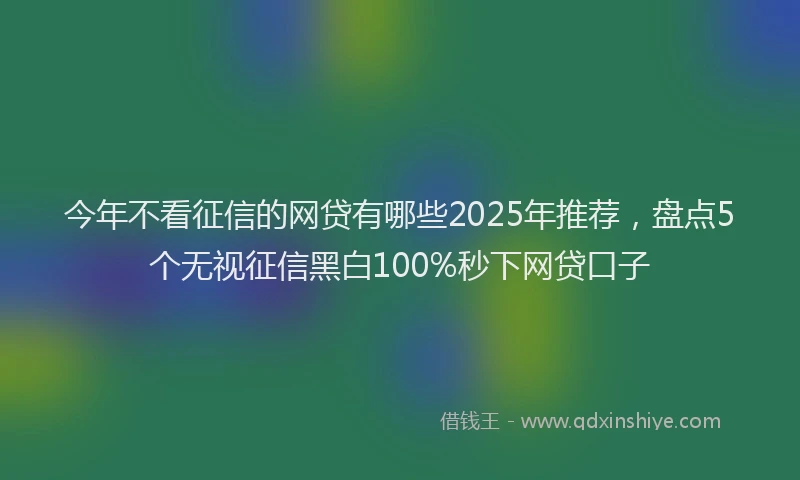今年不看征信的网贷有哪些2025年推荐，盘点5个无视征信黑白100%秒下网贷口子