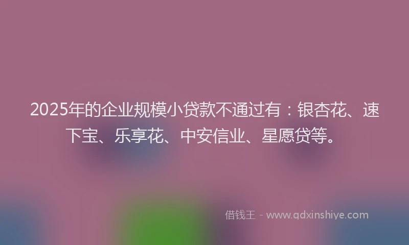2025年的企业规模小贷款不通过有：银杏花、速下宝、乐享花、中安信业、星愿贷等。