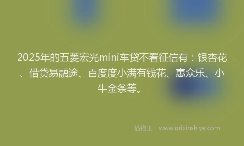 2025年的五菱宏光mini车贷不看征信有：银杏花、借贷易融途、百度度小满有钱花、惠众乐、小牛金条等。