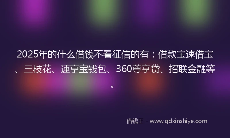 2025年的什么借钱不看征信的有：借款宝速借宝、三枝花、速享宝钱包、360尊享贷、招联金融等。