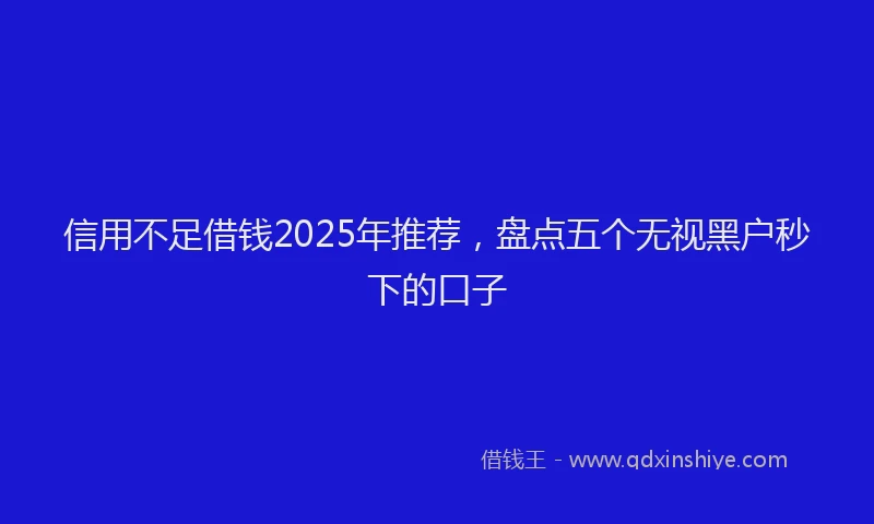 信用不足借钱2025年推荐，盘点五个无视黑户秒下的口子