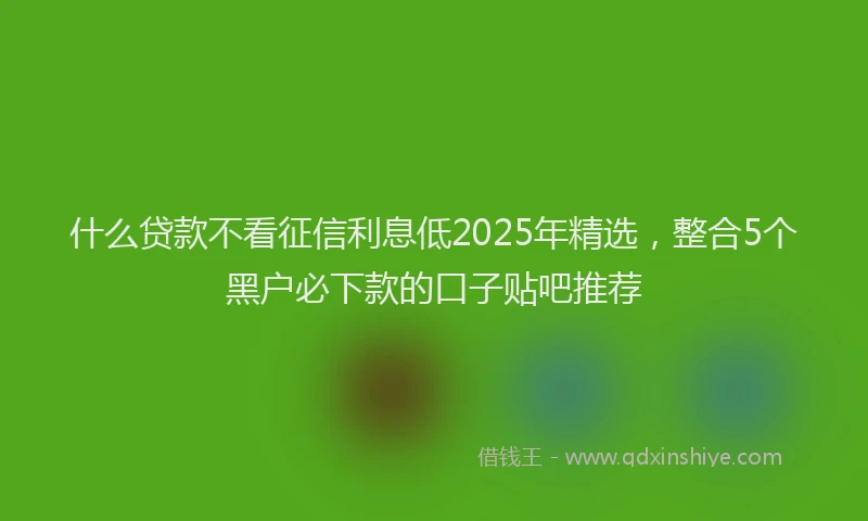 什么贷款不看征信利息低2025年精选,整合5个黑户必下款的口子贴吧推荐