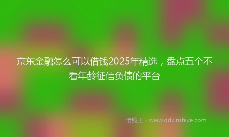 京东金融怎么可以借钱2025年精选，盘点五个不看年龄征信负债的平台