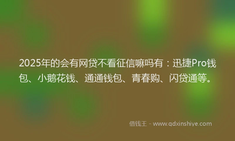 2025年的会有网贷不看征信嘛吗有：迅捷Pro钱包、小鹅花钱、通通钱包、青春购、闪贷通等。