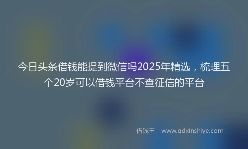 今日头条借钱能提到微信吗2025年精选，梳理五个20岁可以借钱平台不查征信的平台