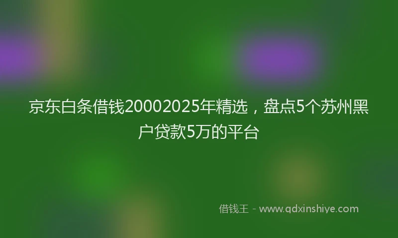 京东白条借钱20002025年精选,盘点5个苏州黑户贷款5万的平台