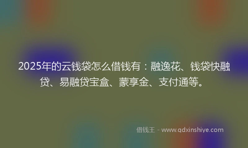 2025年的云钱袋怎么借钱有：融逸花、钱袋快融贷、易融贷宝盒、蒙享金、支付通等。