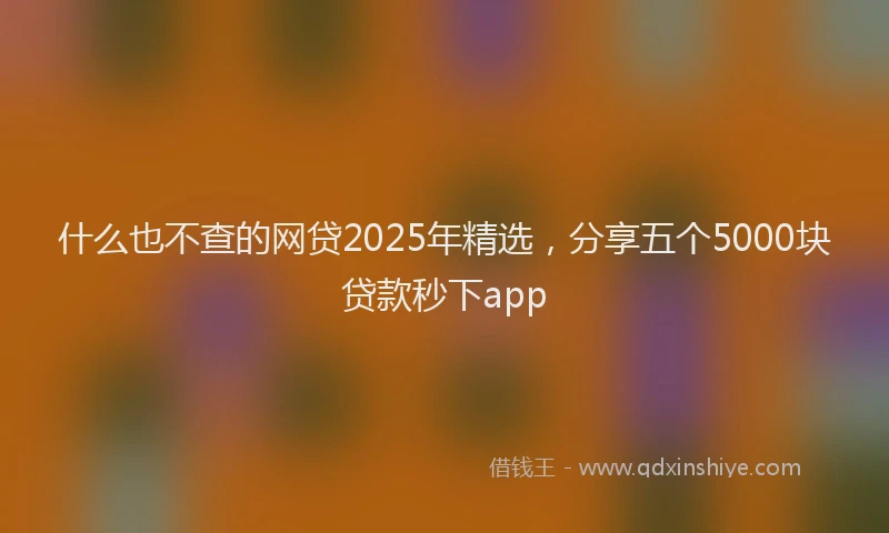 什么也不查的网贷2025年精选，分享五个5000块贷款秒下app