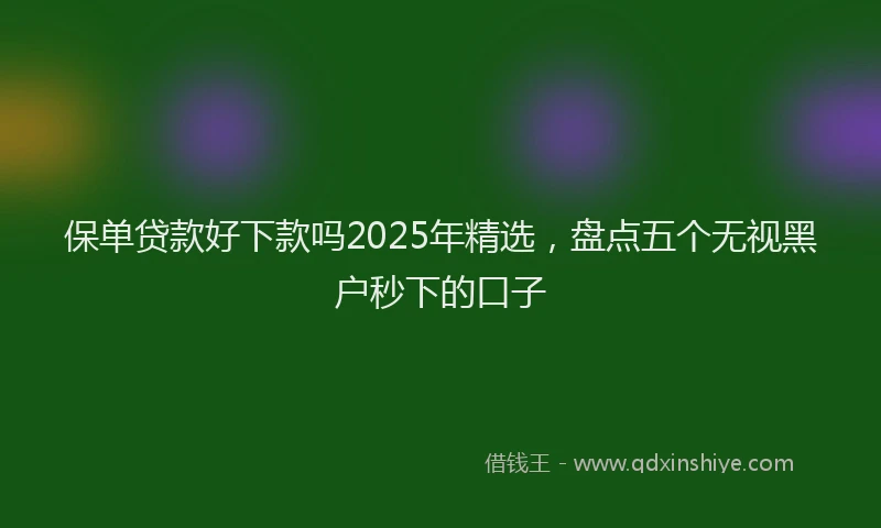 保单贷款好下款吗2025年精选，盘点五个无视黑户秒下的口子