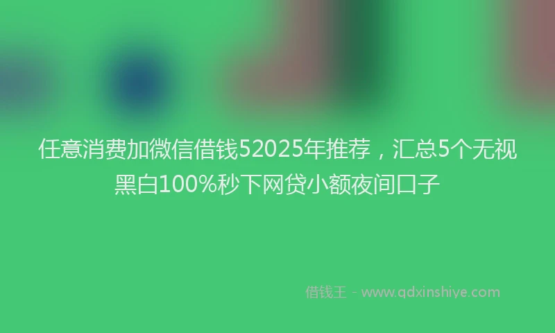 任意消费加微信借钱52025年推荐，汇总5个无视黑白100%秒下网贷小额夜间口子
