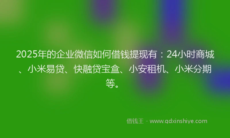 2025年的企业微信如何借钱提现有：24小时商城、小米易贷、快融贷宝盒、小安租机、小米分期等。