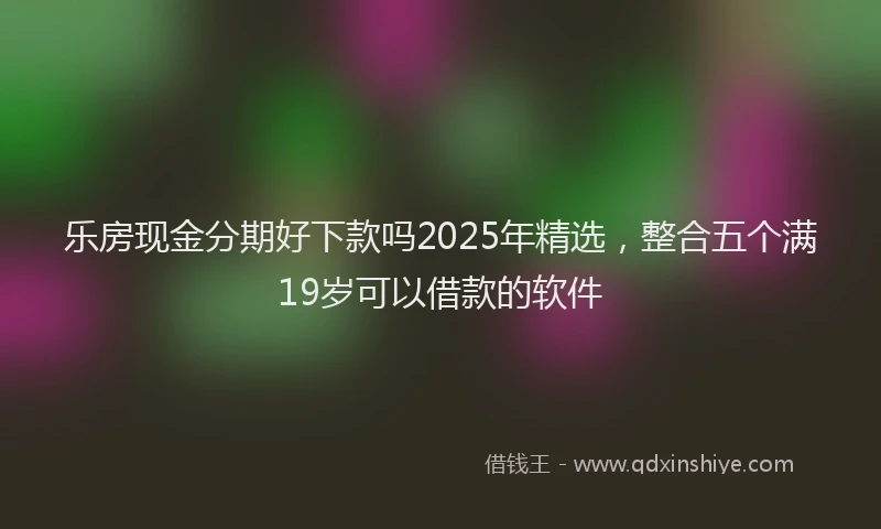 乐房现金分期好下款吗2025年精选，整合五个满19岁可以借款的软件