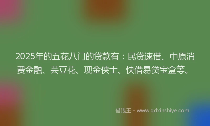 2025年的五花八门的贷款有：民贷速借、中原消费金融、芸豆花、现金侠士、快借易贷宝盒等。