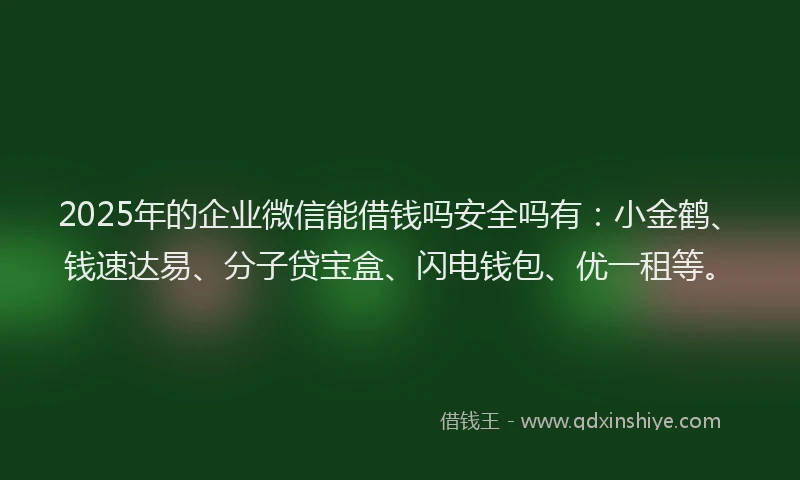 2025年的企业微信能借钱吗安全吗有：小金鹤、钱速达易、分子贷宝盒、闪电钱包、优一租等。
