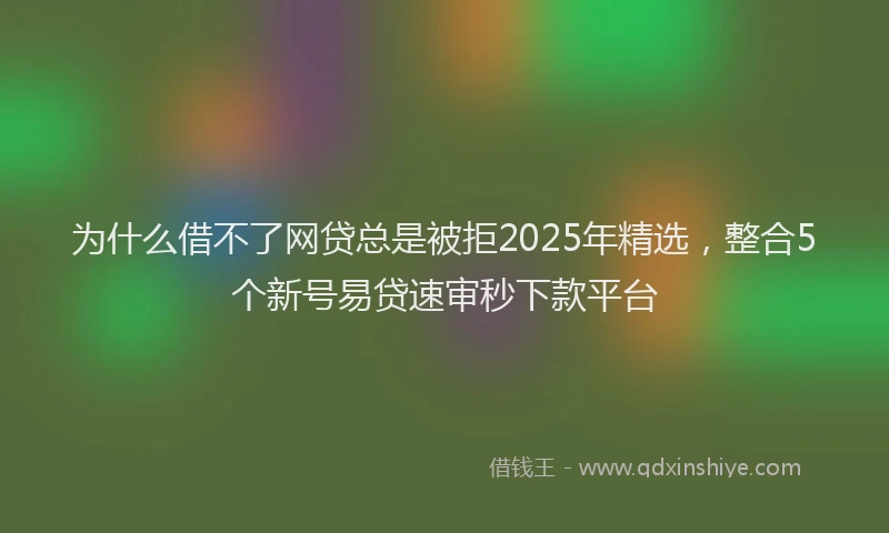 为什么借不了网贷总是被拒2025年精选，整合5个新号易贷速审秒下款平台