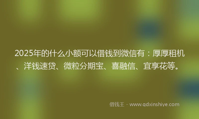2025年的什么小额可以借钱到微信有:厚厚租机、洋钱速贷、微粒分期宝、喜融信、宜享花等。