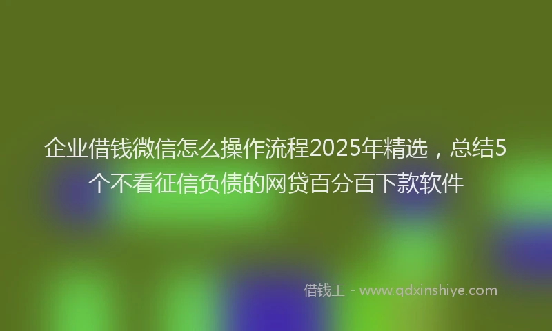 企业借钱微信怎么操作流程2025年精选，总结5个不看征信负债的网贷百分百下款软件