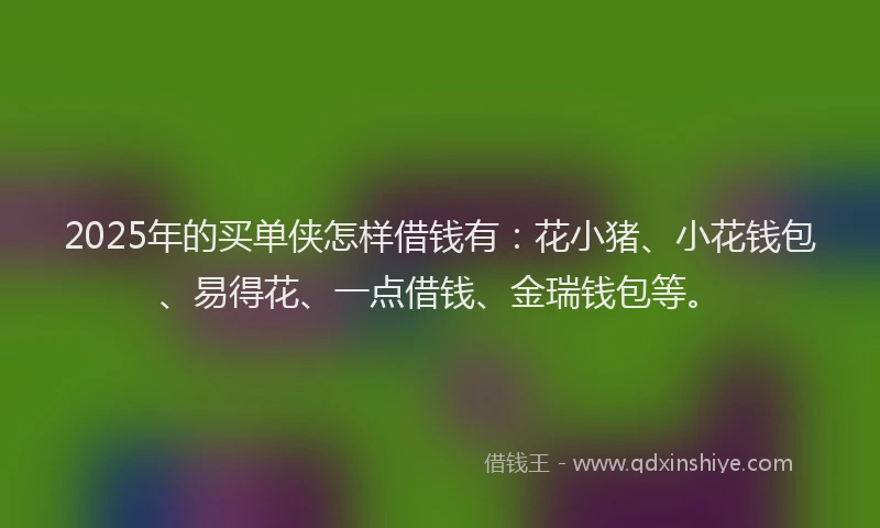 2025年的买单侠怎样借钱有：花小猪、小花钱包、易得花、一点借钱、金瑞钱包等。