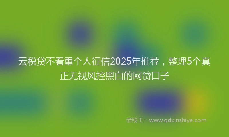 云税贷不看重个人征信2025年推荐，整理5个真正无视风控黑白的网贷口子