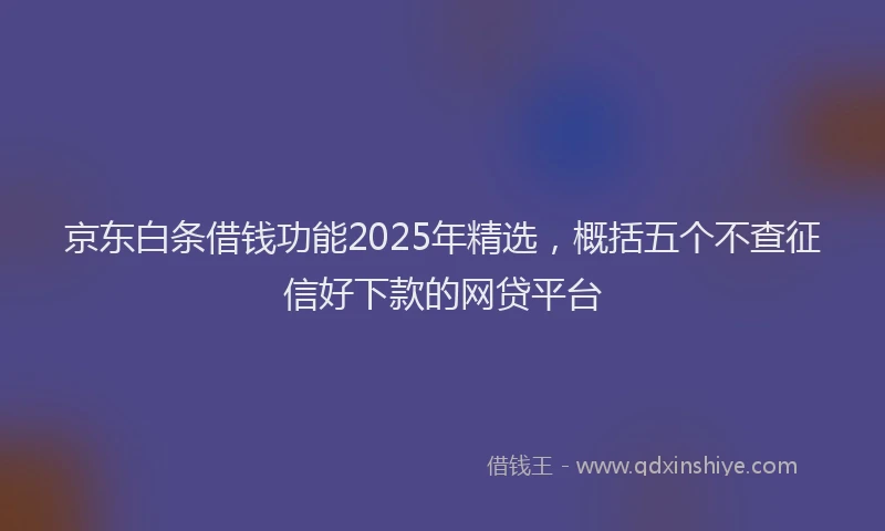 京东白条借钱功能2025年精选,概括五个不查征信好下款的网贷平台