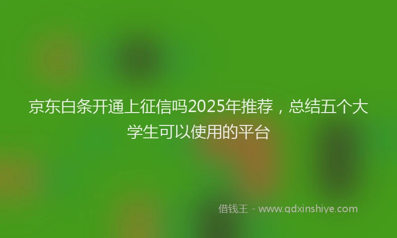 京东白条开通上征信吗2025年推荐，总结五个大学生可以使用的平台
