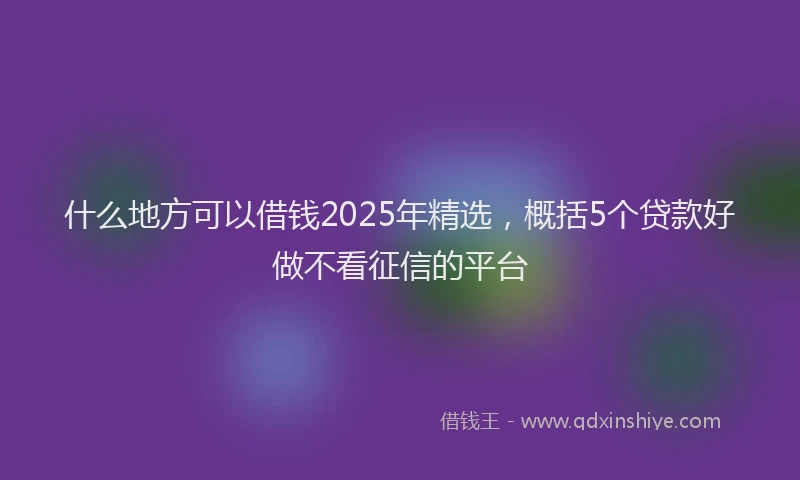 什么地方可以借钱2025年精选，概括5个贷款好做不看征信的平台