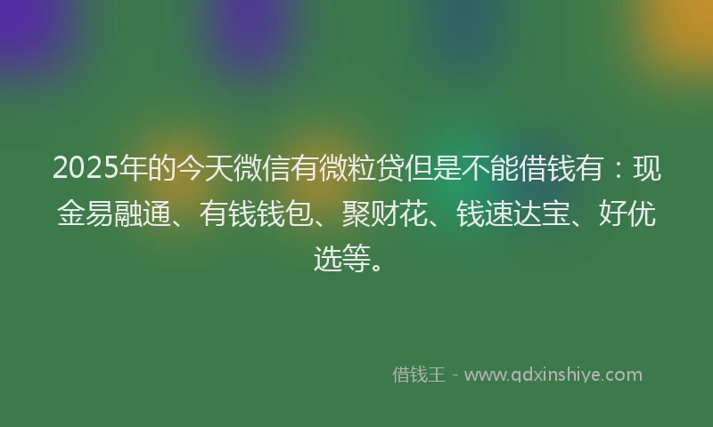 2025年的今天微信有微粒贷但是不能借钱有：现金易融通、有钱钱包、聚财花、钱速达宝、好优选等。