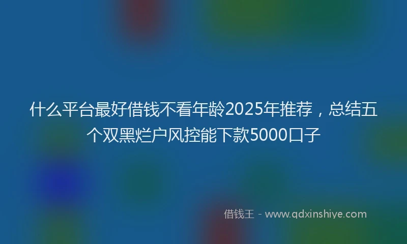 什么平台最好借钱不看年龄2025年推荐,总结五个双黑烂户风控能下款5000口子