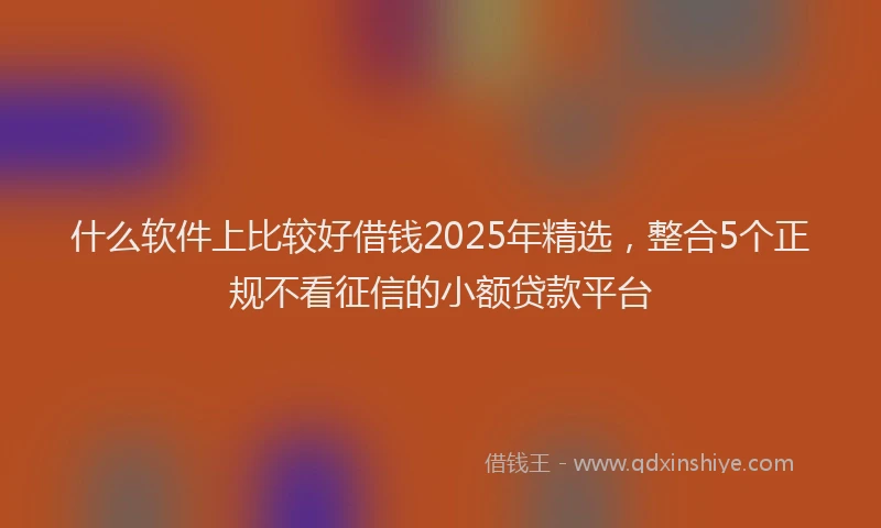 什么软件上比较好借钱2025年精选，整合5个正规不看征信的小额贷款平台