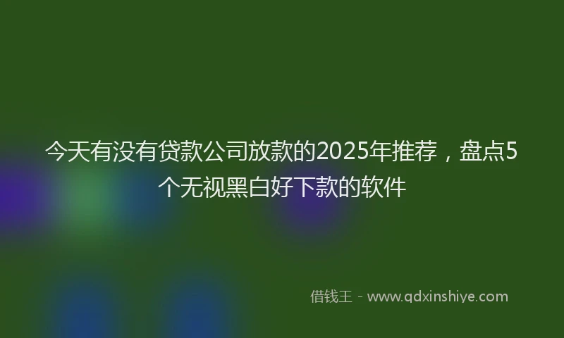 今天有没有贷款公司放款的2025年推荐，盘点5个无视黑白好下款的软件