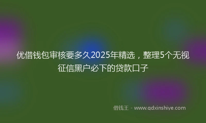 优借钱包审核要多久2025年精选，整理5个无视征信黑户必下的贷款口子