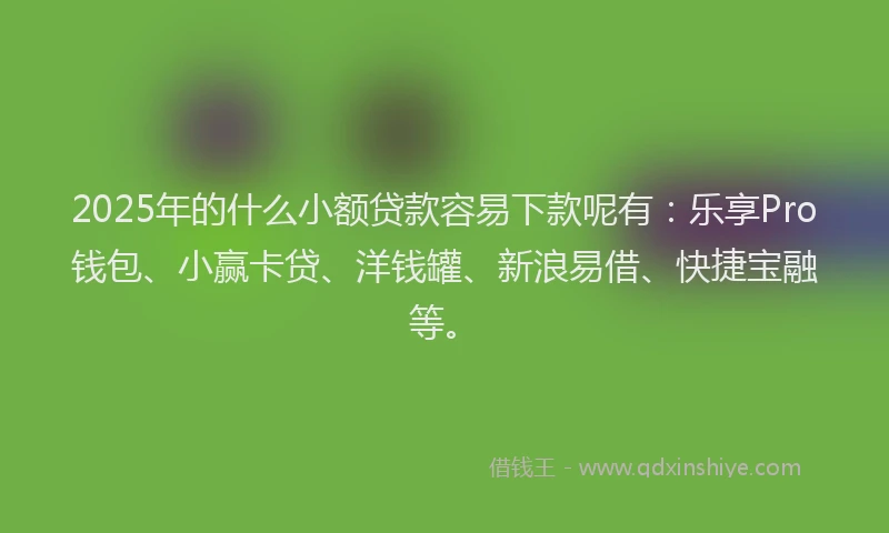 2025年的什么小额贷款容易下款呢有：乐享Pro钱包、小赢卡贷、洋钱罐、新浪易借、快捷宝融等。