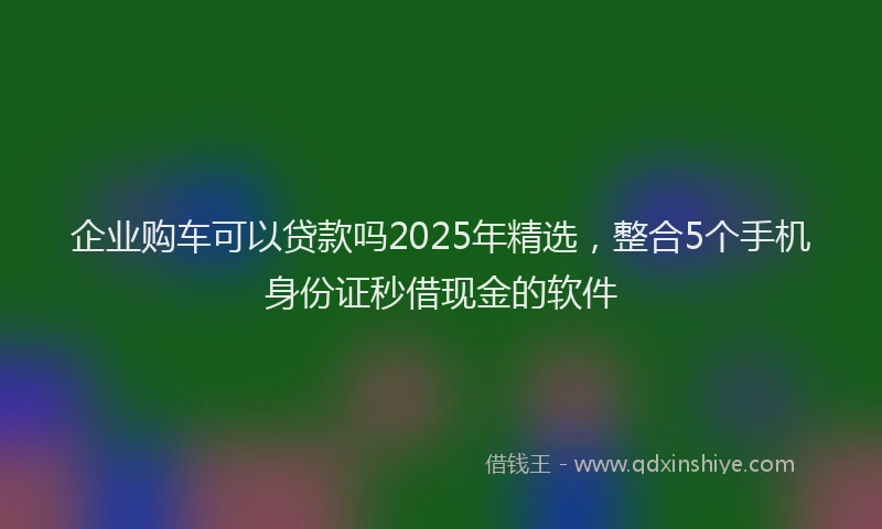 企业购车可以贷款吗2025年精选，整合5个手机身份证秒借现金的软件