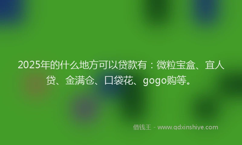 2025年的什么地方可以贷款有：微粒宝盒、宜人贷、金满仓、口袋花、gogo购等。