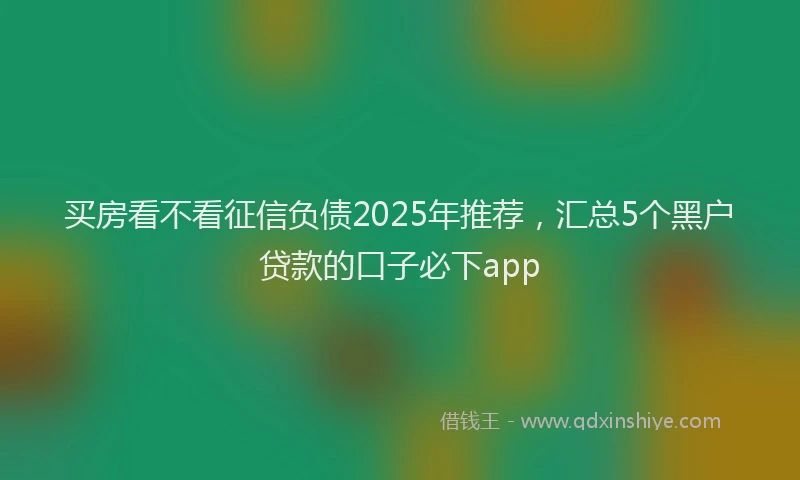 买房看不看征信负债2025年推荐,汇总5个黑户贷款的口子必下app